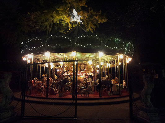 Photo du grand carrousel de nuit