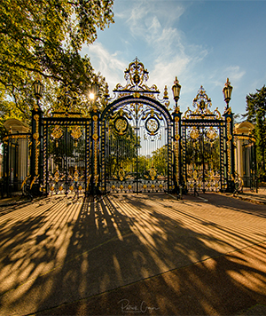 Les activités du parc